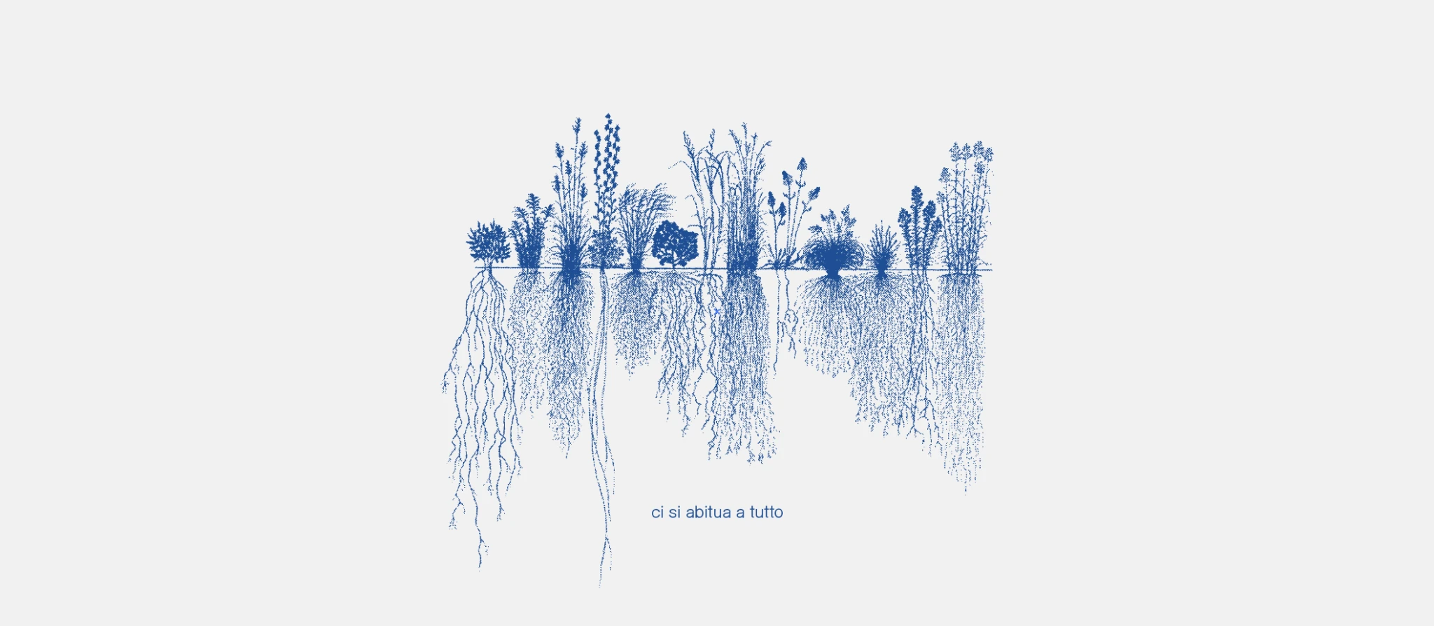 Maison Ikkoku: grafica blu con piante e radici